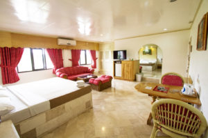 Clarkton Hotel Angeles Executive King Suite 306 2